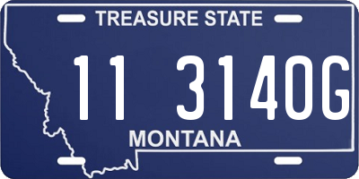 MT license plate 113140G