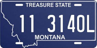 MT license plate 113140L