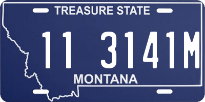 MT license plate 113141M