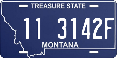 MT license plate 113142F