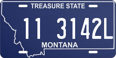MT license plate 113142L