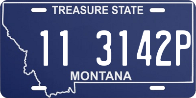 MT license plate 113142P