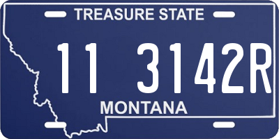 MT license plate 113142R