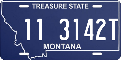 MT license plate 113142T