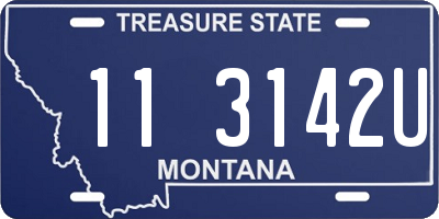 MT license plate 113142U