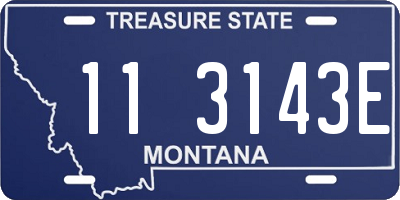 MT license plate 113143E