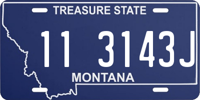 MT license plate 113143J