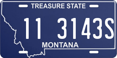 MT license plate 113143S