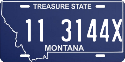 MT license plate 113144X