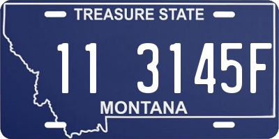MT license plate 113145F
