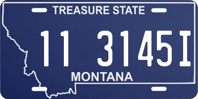 MT license plate 113145I