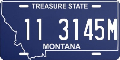 MT license plate 113145M