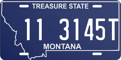 MT license plate 113145T