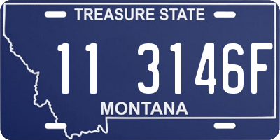 MT license plate 113146F