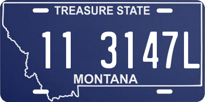 MT license plate 113147L