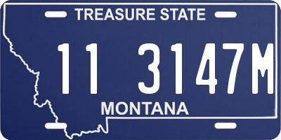 MT license plate 113147M