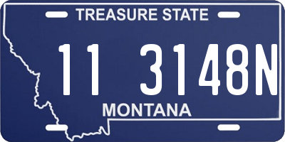 MT license plate 113148N