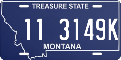MT license plate 113149K