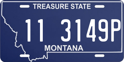 MT license plate 113149P