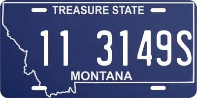 MT license plate 113149S