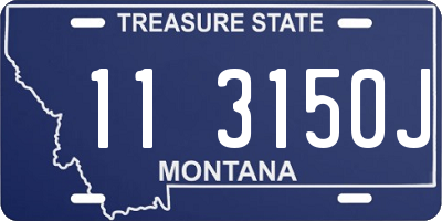 MT license plate 113150J