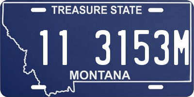 MT license plate 113153M