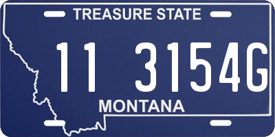 MT license plate 113154G