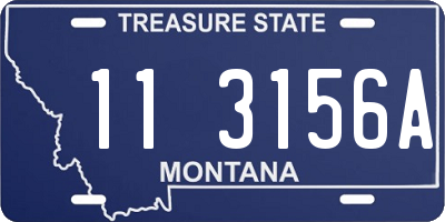 MT license plate 113156A