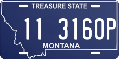 MT license plate 113160P