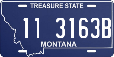 MT license plate 113163B