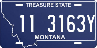 MT license plate 113163Y