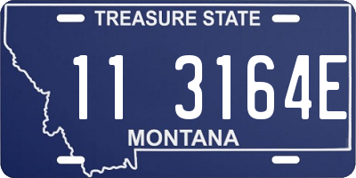MT license plate 113164E