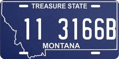 MT license plate 113166B