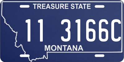 MT license plate 113166C