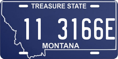 MT license plate 113166E
