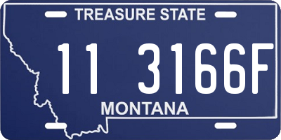 MT license plate 113166F