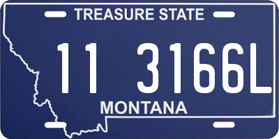 MT license plate 113166L