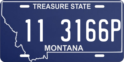 MT license plate 113166P