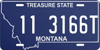 MT license plate 113166T