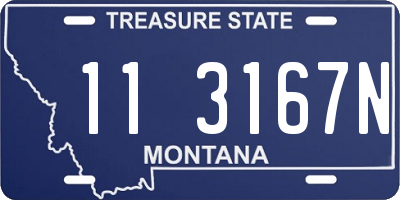 MT license plate 113167N