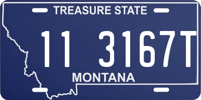 MT license plate 113167T