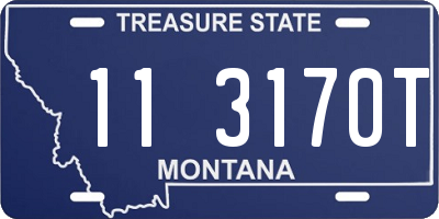MT license plate 113170T