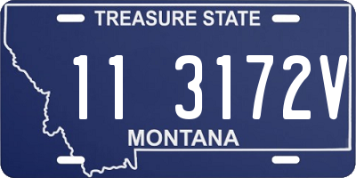 MT license plate 113172V