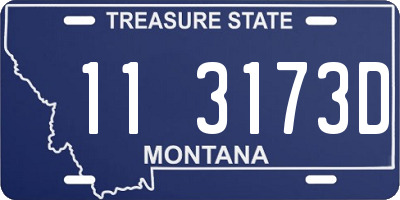 MT license plate 113173D
