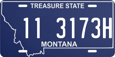 MT license plate 113173H