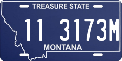 MT license plate 113173M