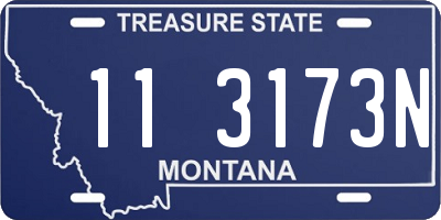 MT license plate 113173N