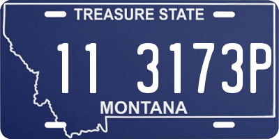 MT license plate 113173P
