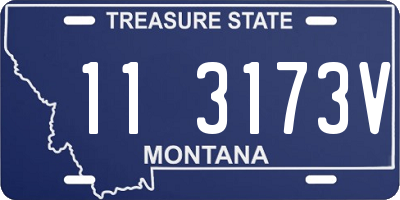 MT license plate 113173V