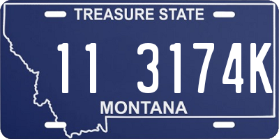 MT license plate 113174K